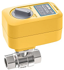 Кран  с электроприводом  Neptun Profi 220V 1"
